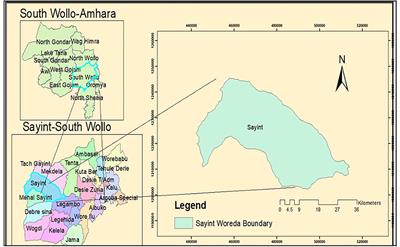 Epidemiological and therapeutic studies on sheep lice in Sayint district, South Wollo Zone, Northeast Ethiopia